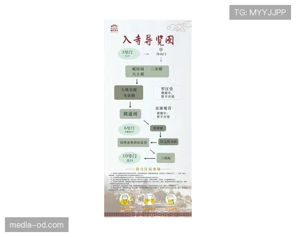 外物入场如何判罚？规则拆解场外干扰的处理标准